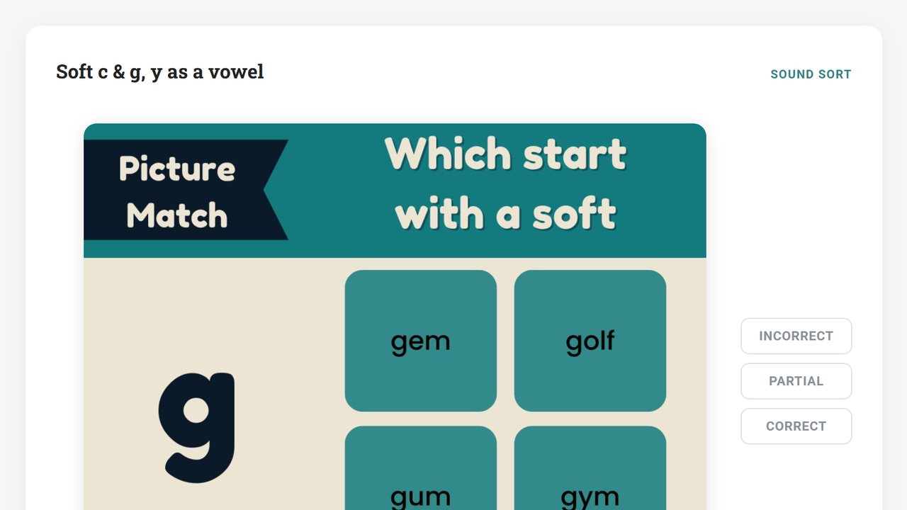 Level 1 Workbook 2 mastery check: soft c and g sound sort